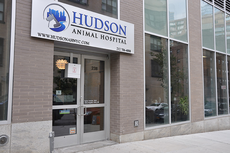 Commercial Architecture Project, Veterinary Hospital NYC